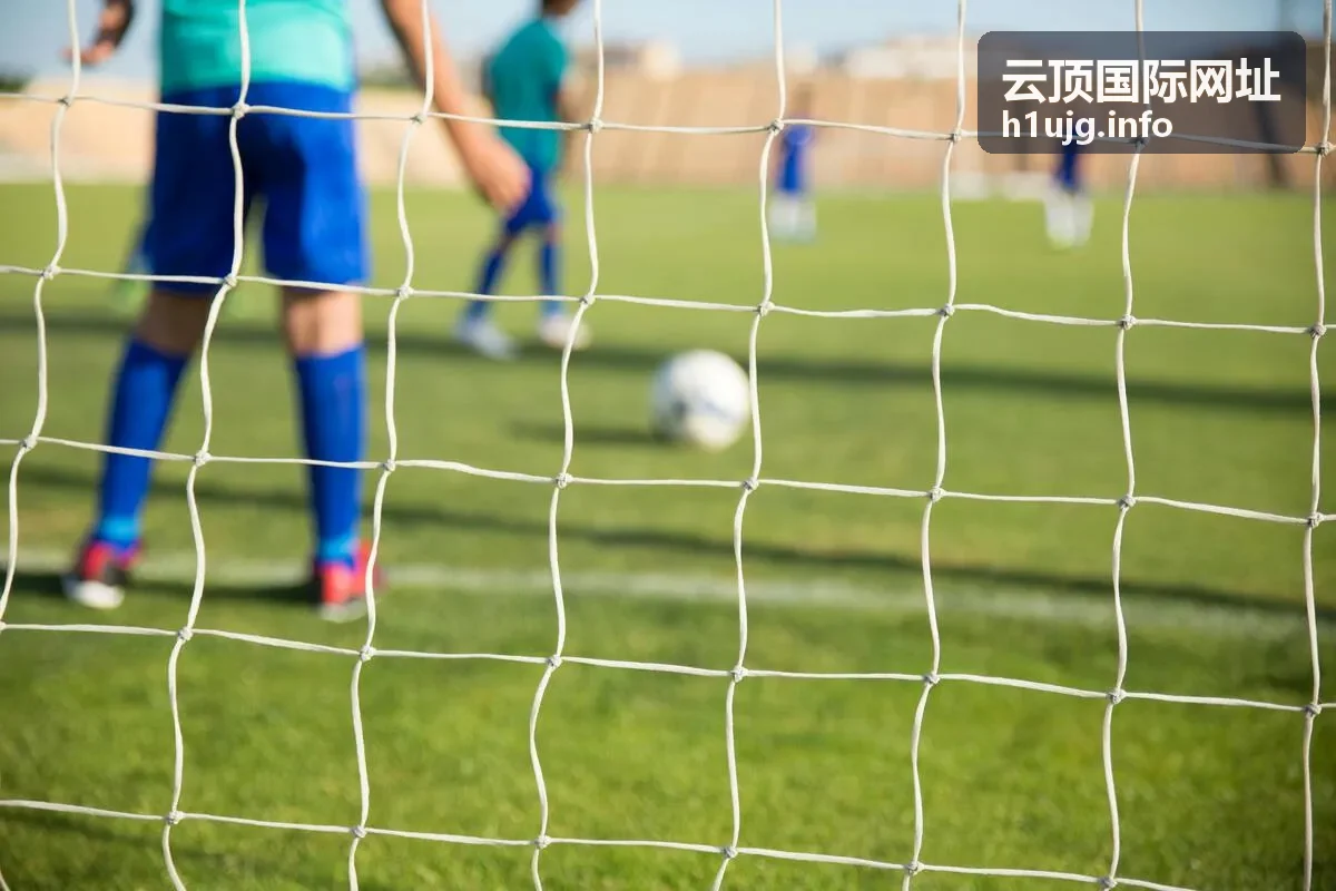 云顶国际网址多区域业务协同场景展示